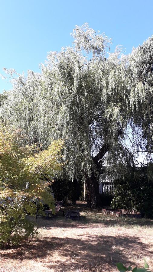 L' Abri Du Saule Villa Aussillon Екстериор снимка
